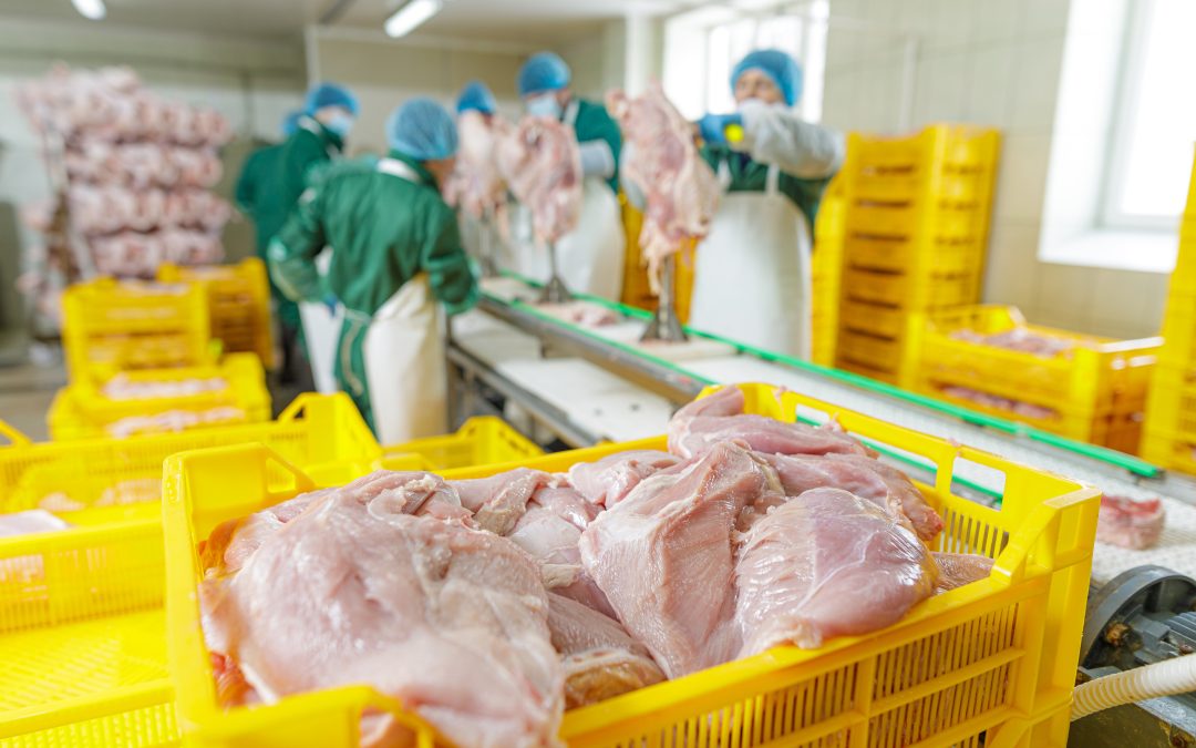 Hand-Slaughtered vs. Machine-Slaughtered Halal: What’s the Difference?