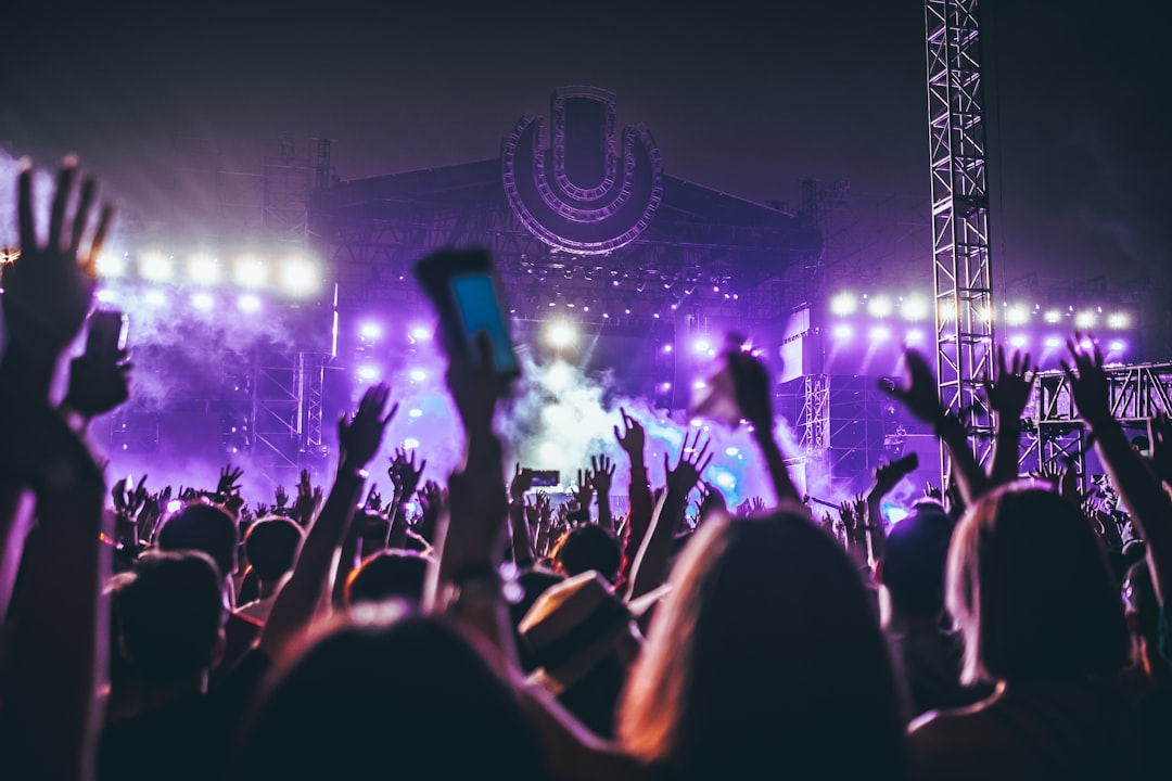 Crowd attending an outdoor cultural music festival