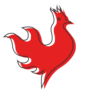 Juicy Birds Nashville Hot Chicken logo