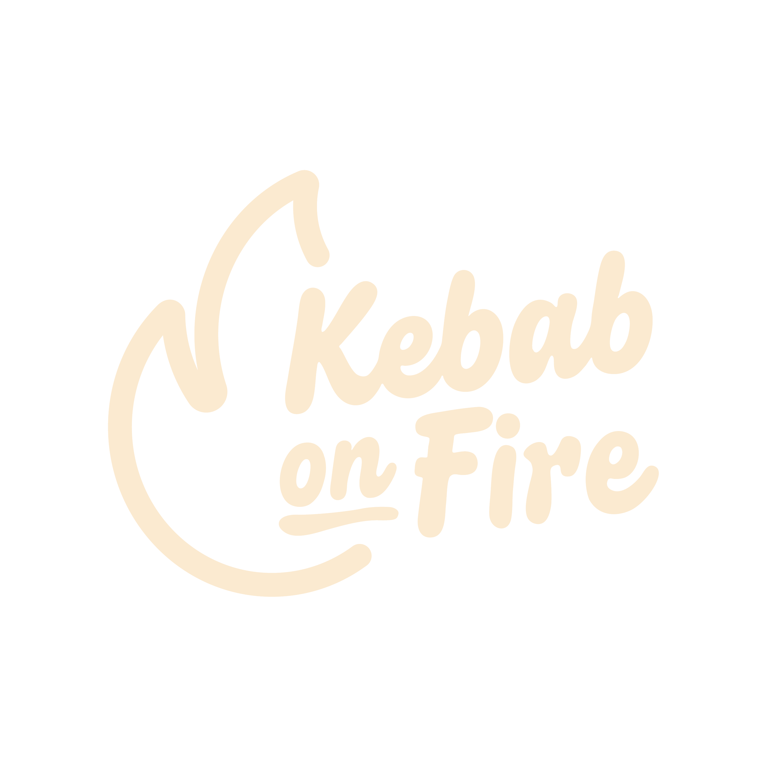 Kebab on Fire logo