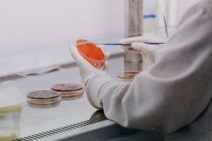 Scientists Develop New Technology to Detect Pork and Beef Gelatin — What It Means for Halal Consumers
