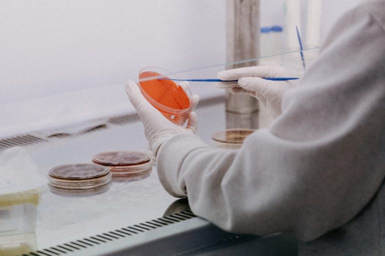 Scientists Develop New Technology to Detect Pork and Beef Gelatin — What It Means for Halal Consumers