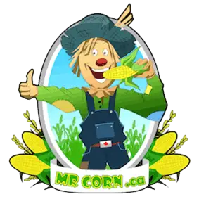 Mr Corn BBQ Catering logo