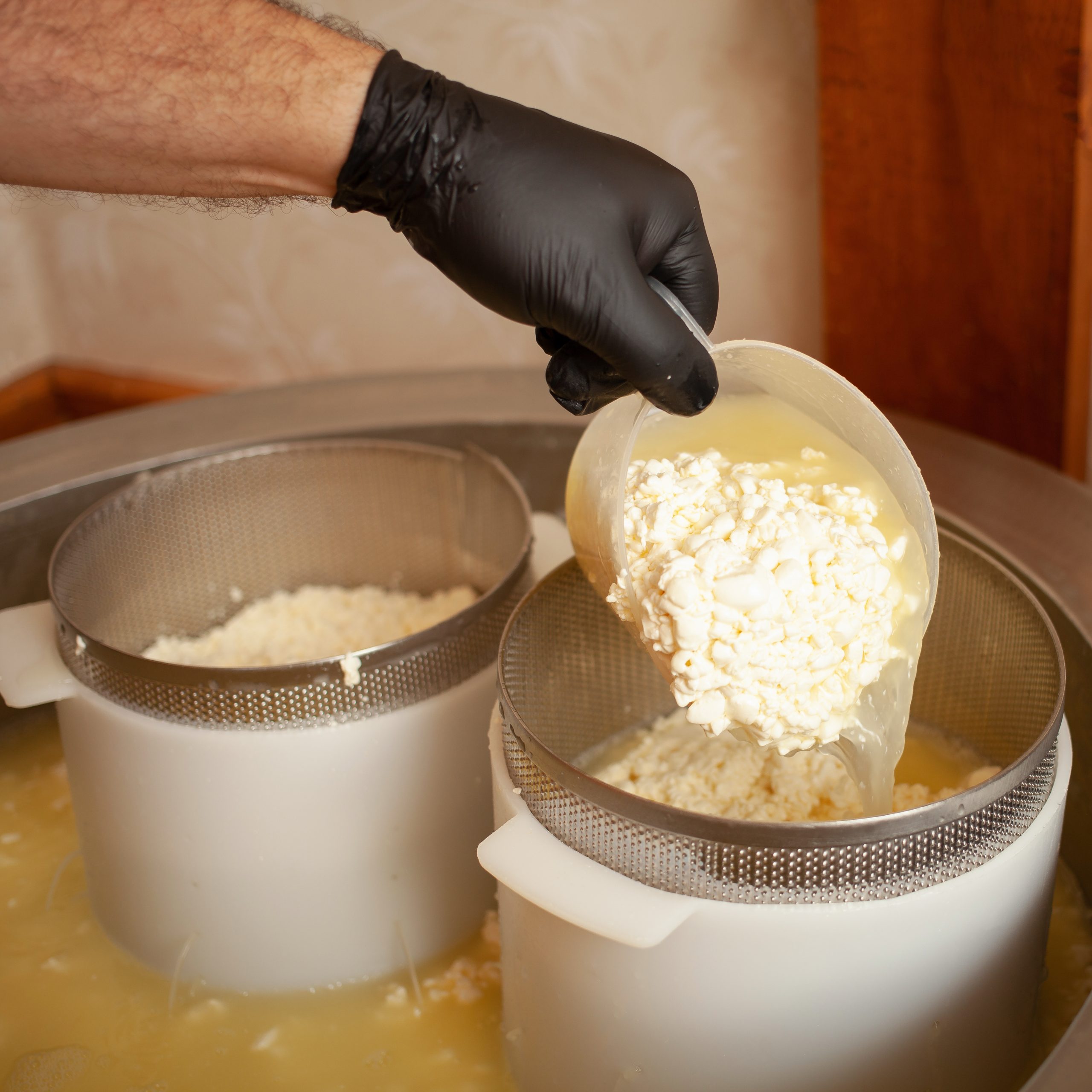 Cheese curds and whey in a cheesemaking vat