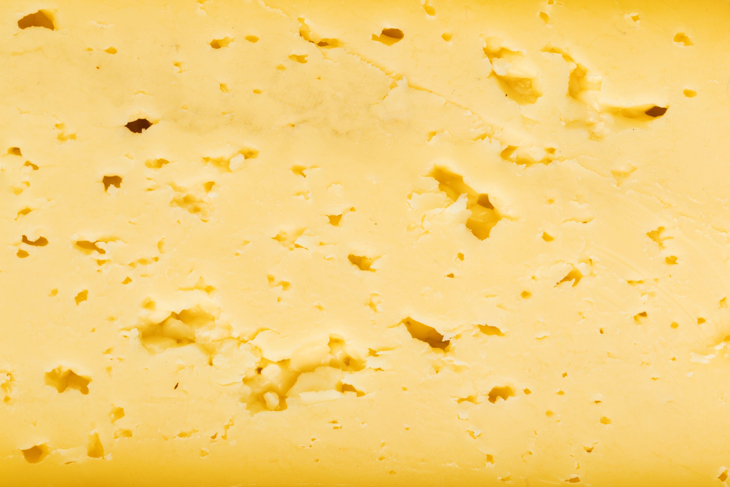 Close-up of a yellow cheese block with holes
