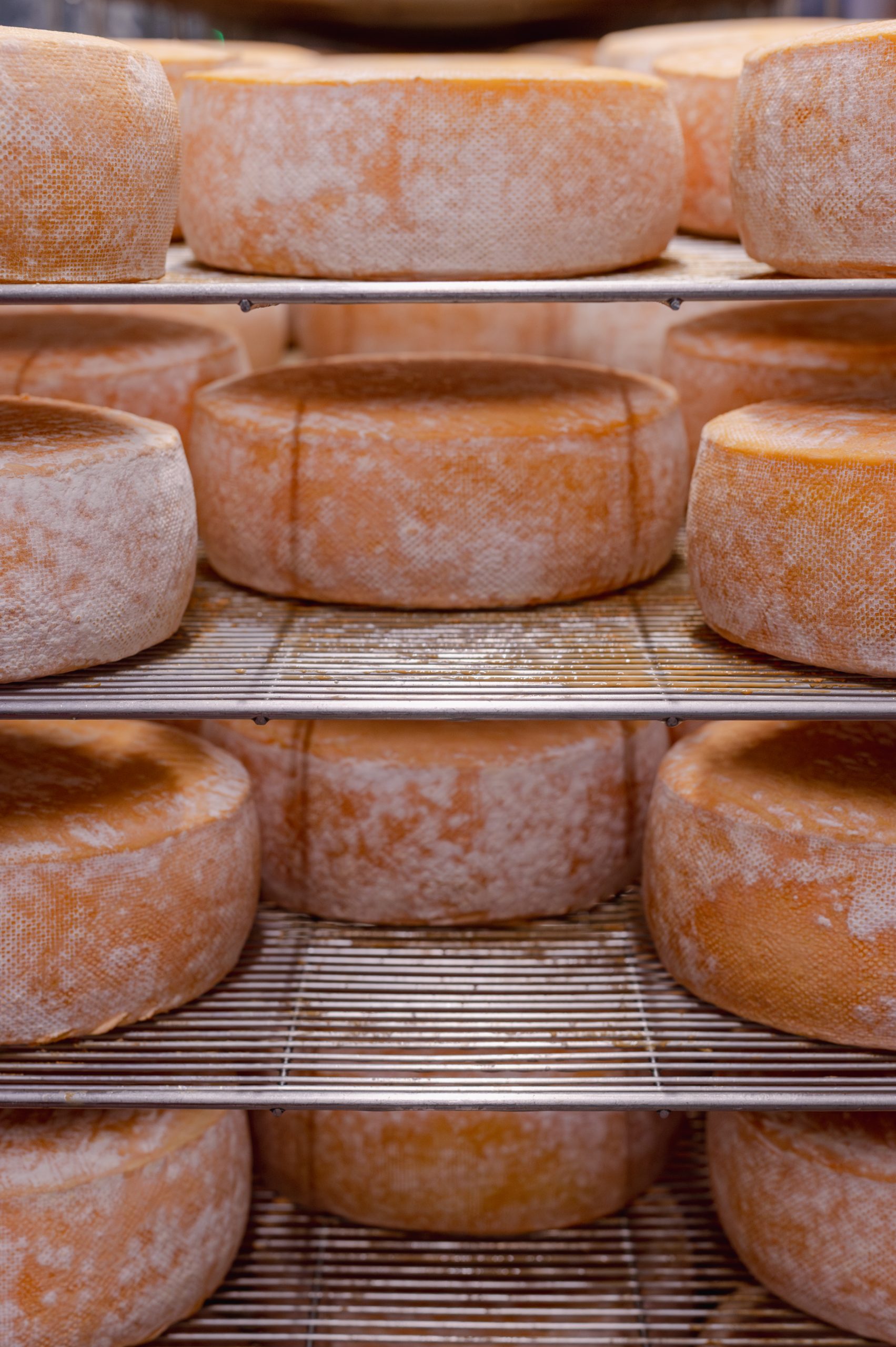 Orange cheese wheels arranged on shelves